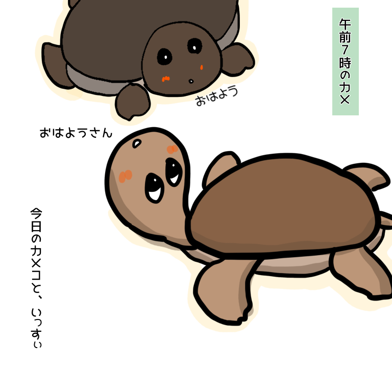 番外編 朝のカメのイラスト きみよの部屋