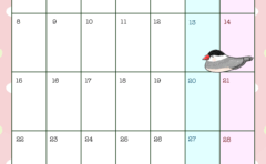 7c2370285a77af79115e26daa9cc276e